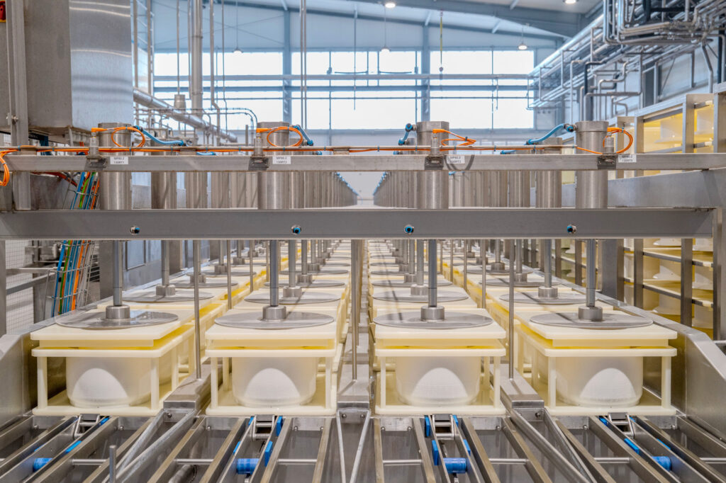 Even_our_first_wooden_cheese_vat_in_the_1980s_was_from_C_van_t_Riet_Riet_Dairy_Harry_ten_Dam_machine_Aurora