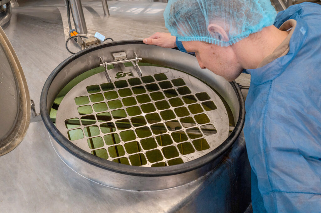 Even_our_first_wooden_cheese_vat_in_the_1980s_was_from_C_van_t_Riet_Riet_Dairy_Harry_ten_Dam_vat